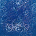 2070_F-021-006