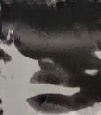 F-018-005A